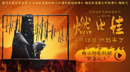 蓝色海湾公棚秋棚